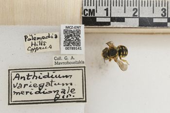 Media type: image;   Entomology 789141 Aspect: Labels